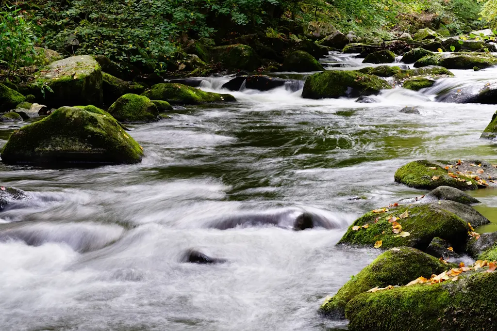 Rivière