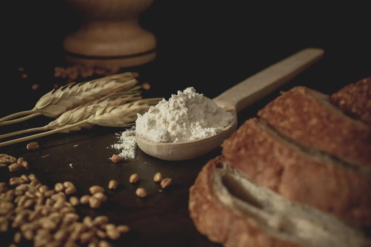 bread-6486963_1280