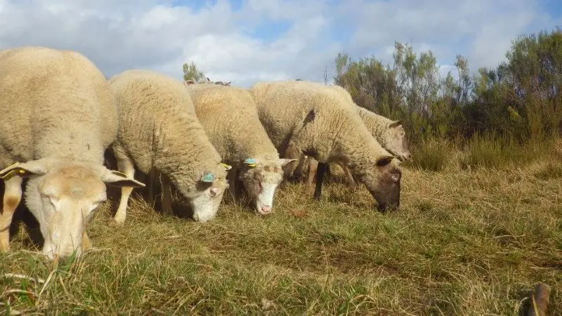 ferme des forgerons ©Véronique Boullier