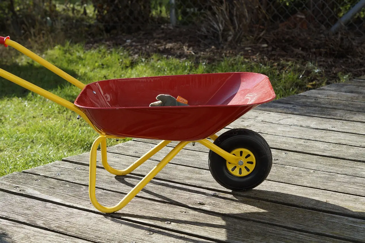 Atelier : Petit jardinier en herbe