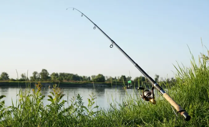 image pêche