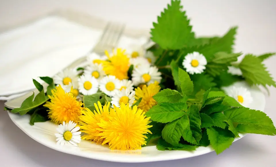 image plantes comestibles