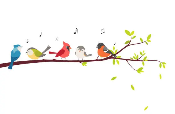 istockphoto-chant des oiseaux