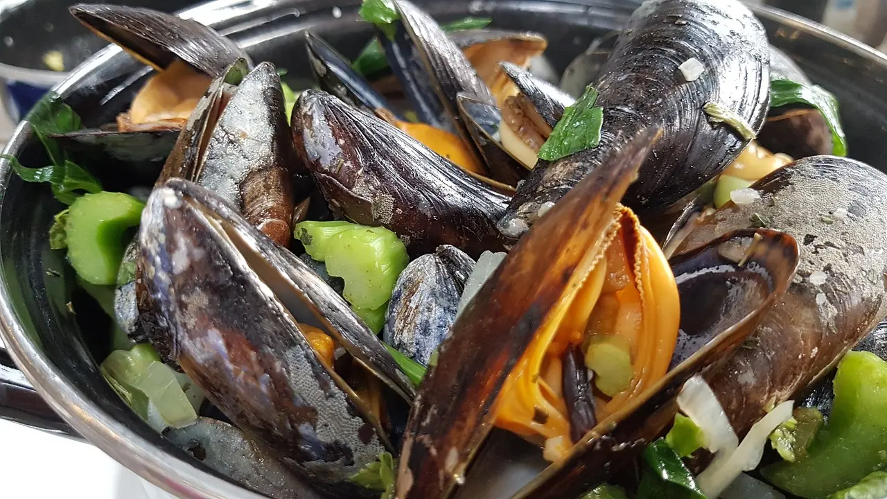mussels-4375642_1280