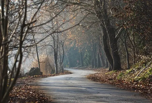nature