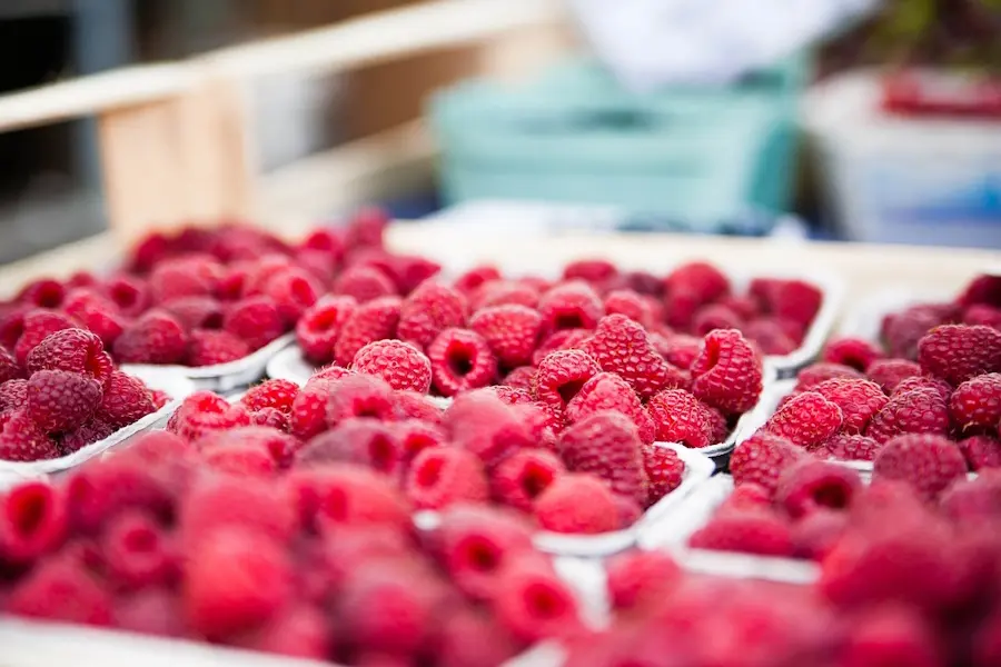 raspberries-gc8bf5ed02_1280