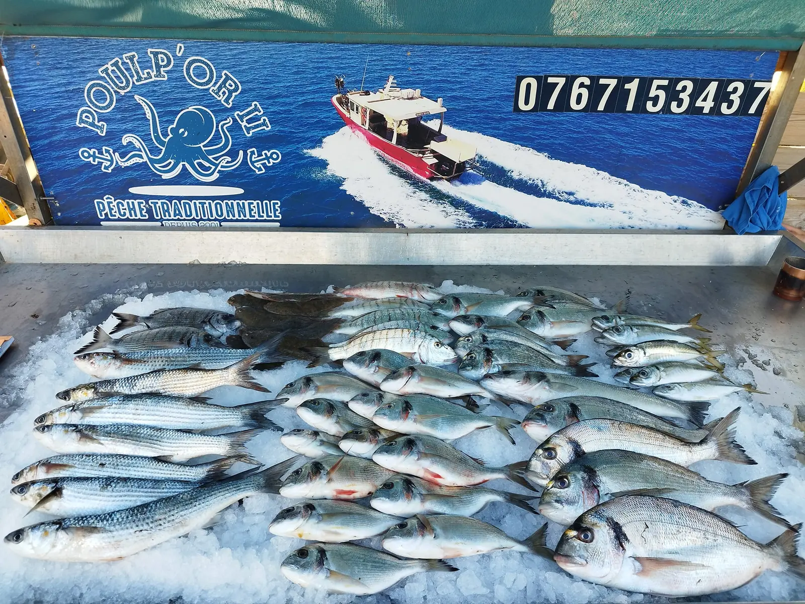 Poissonnerie POULP'OR II PÊCHE TRADITIONNELLE