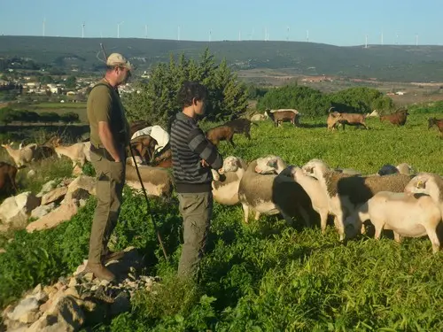 Bergerie la ferme des saveurs réduit