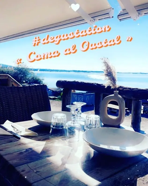DEGUSTATION COMA AL OUSTAL