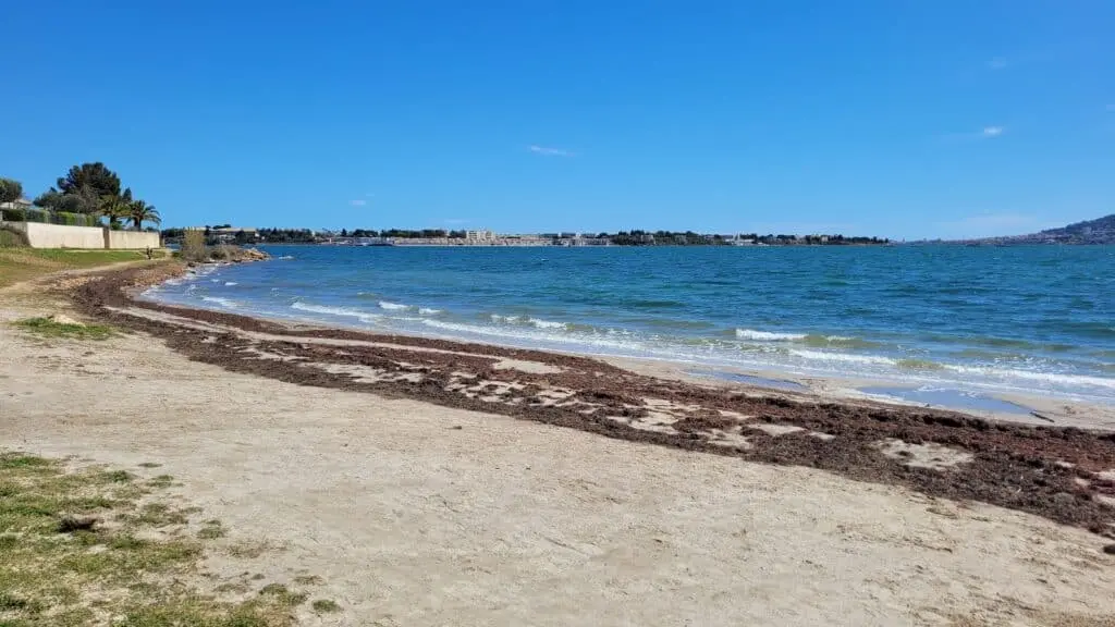 PLAGE DE LA PYRAMIDE BOUZIGUES