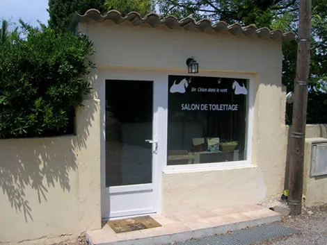 Un Chien dans le vent Toilettage canin Balaruc-le-Vieux