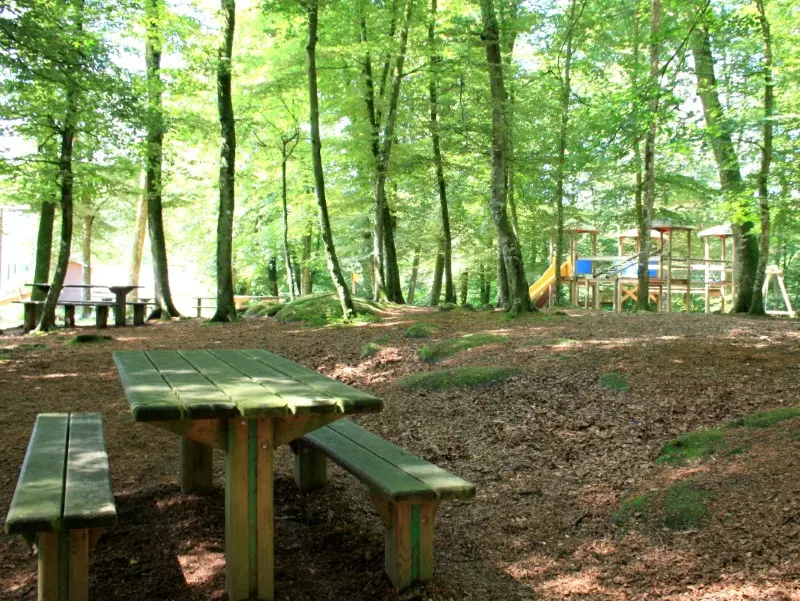 Aire de pique-nique en forêt de Villecartier