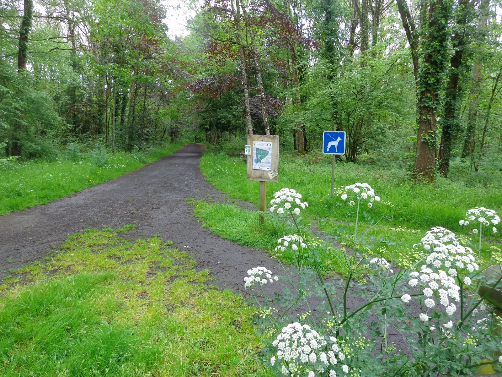 BR1®FFRandonnée Ille et Vilaine 1