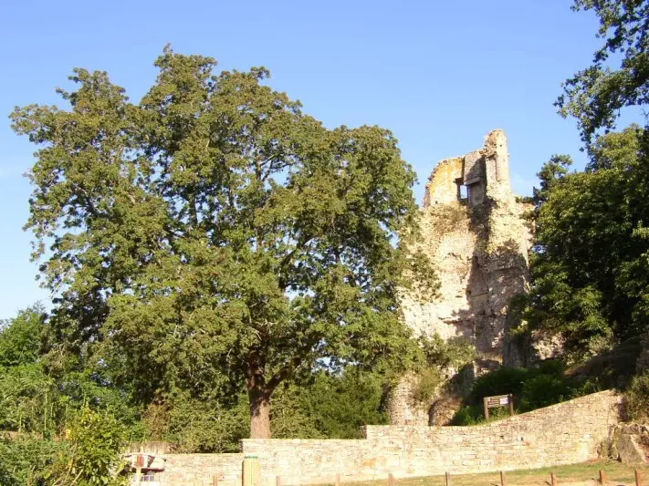 Chateau