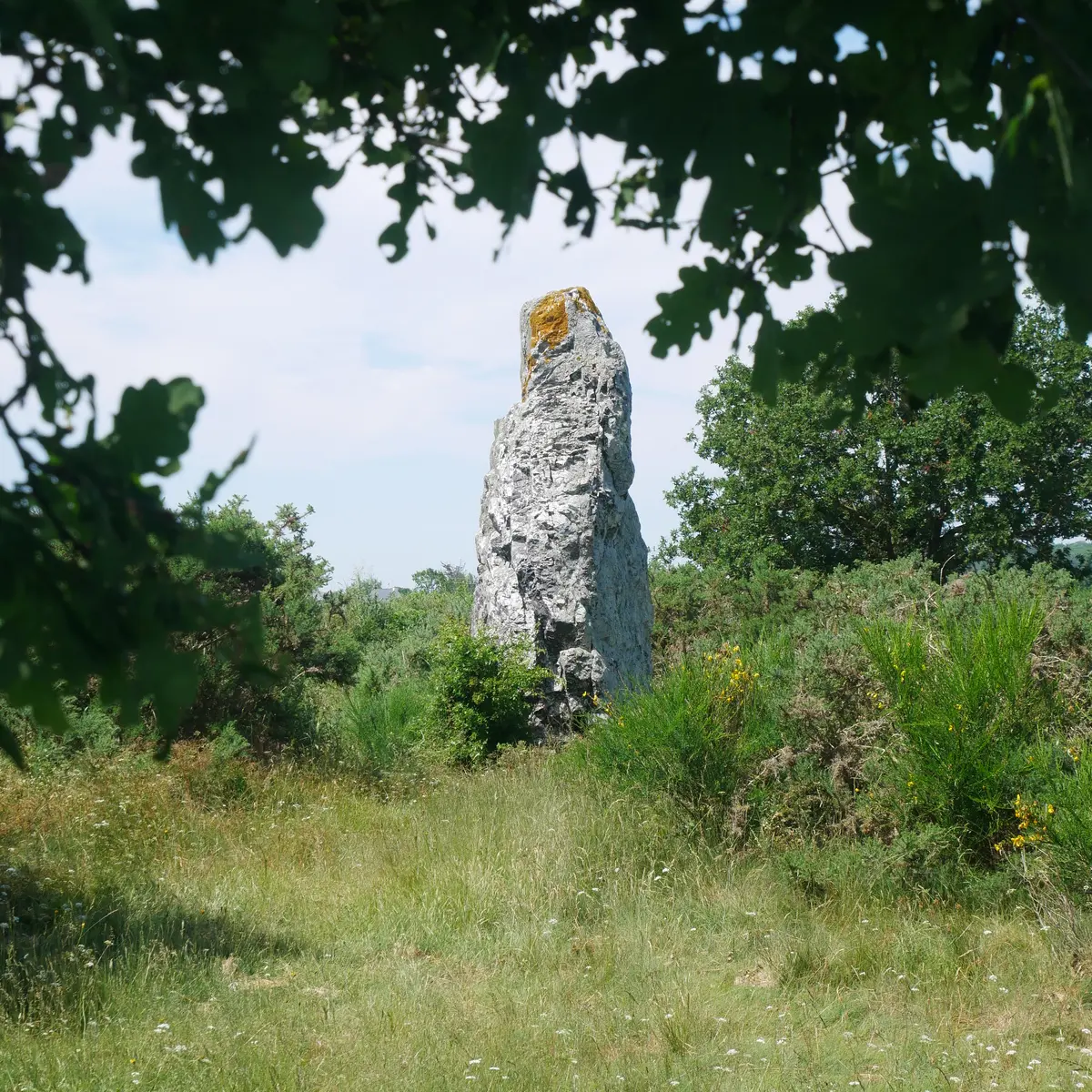P1380307