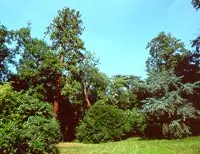 PCUBRE0351000069.jpg