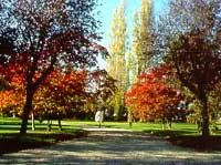 PCUBRE0351000071.jpg