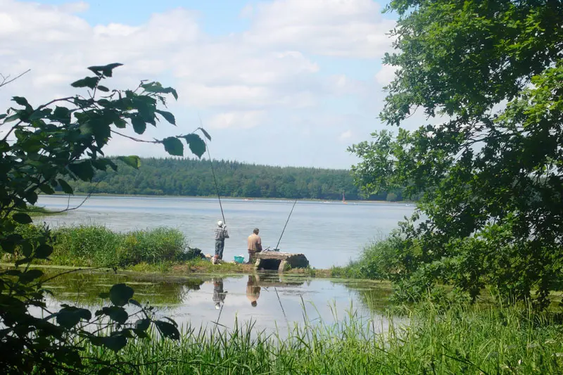Etang du Boulet à Feins