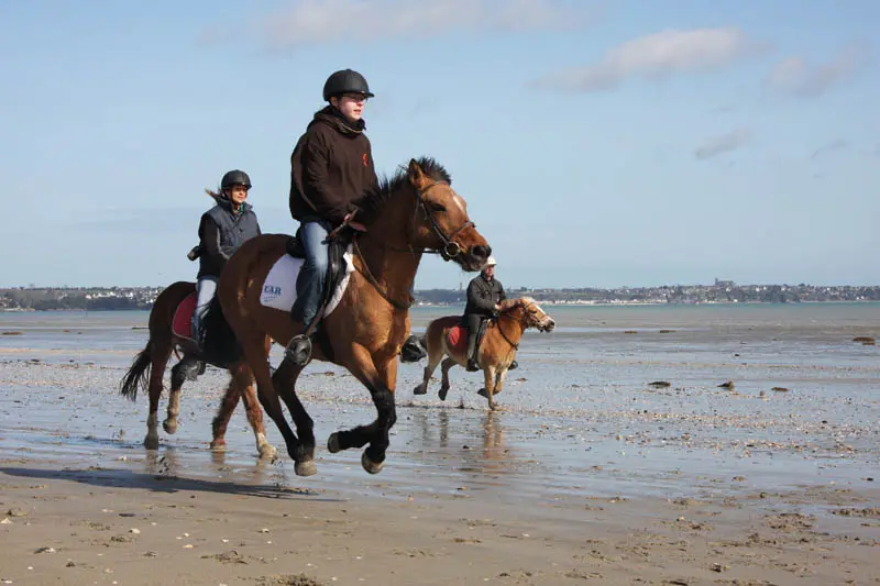 Cavaliers dans la Baie