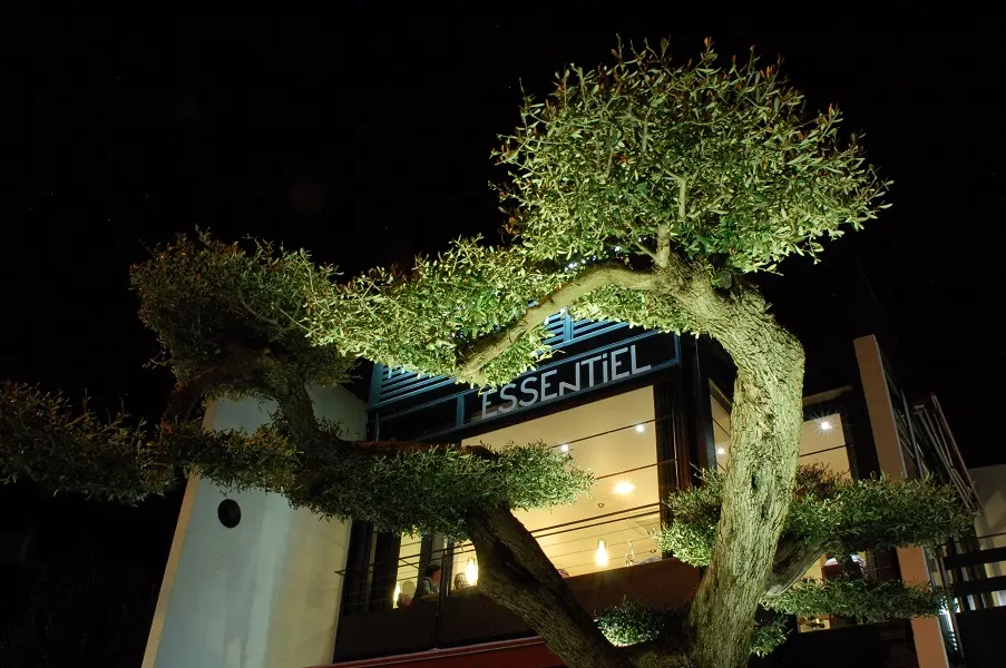 Essentiel - Rennes