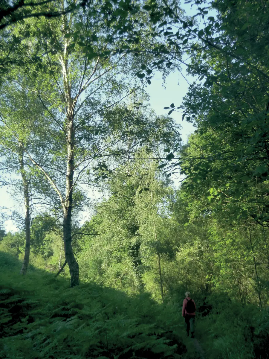 Sentier