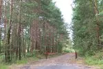 008-f27ylgkp4z1m.jpg.150x150_q85
