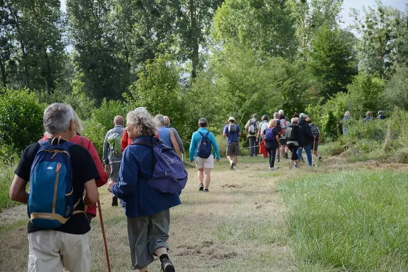 Randonneurs en forêt