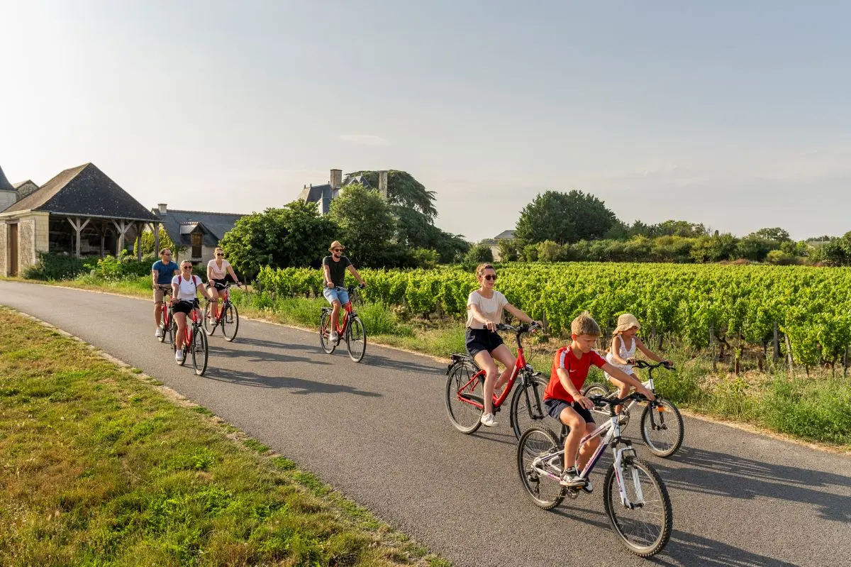 velos_vignes_Marc_Plouzeau_Credit-ADT-Touraine-JC-Coutand-2034-2