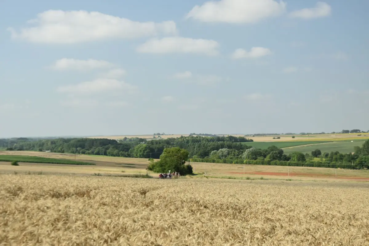 Anché - Estivales de Rando - Paysage 11 - CC OTACVL - 2031