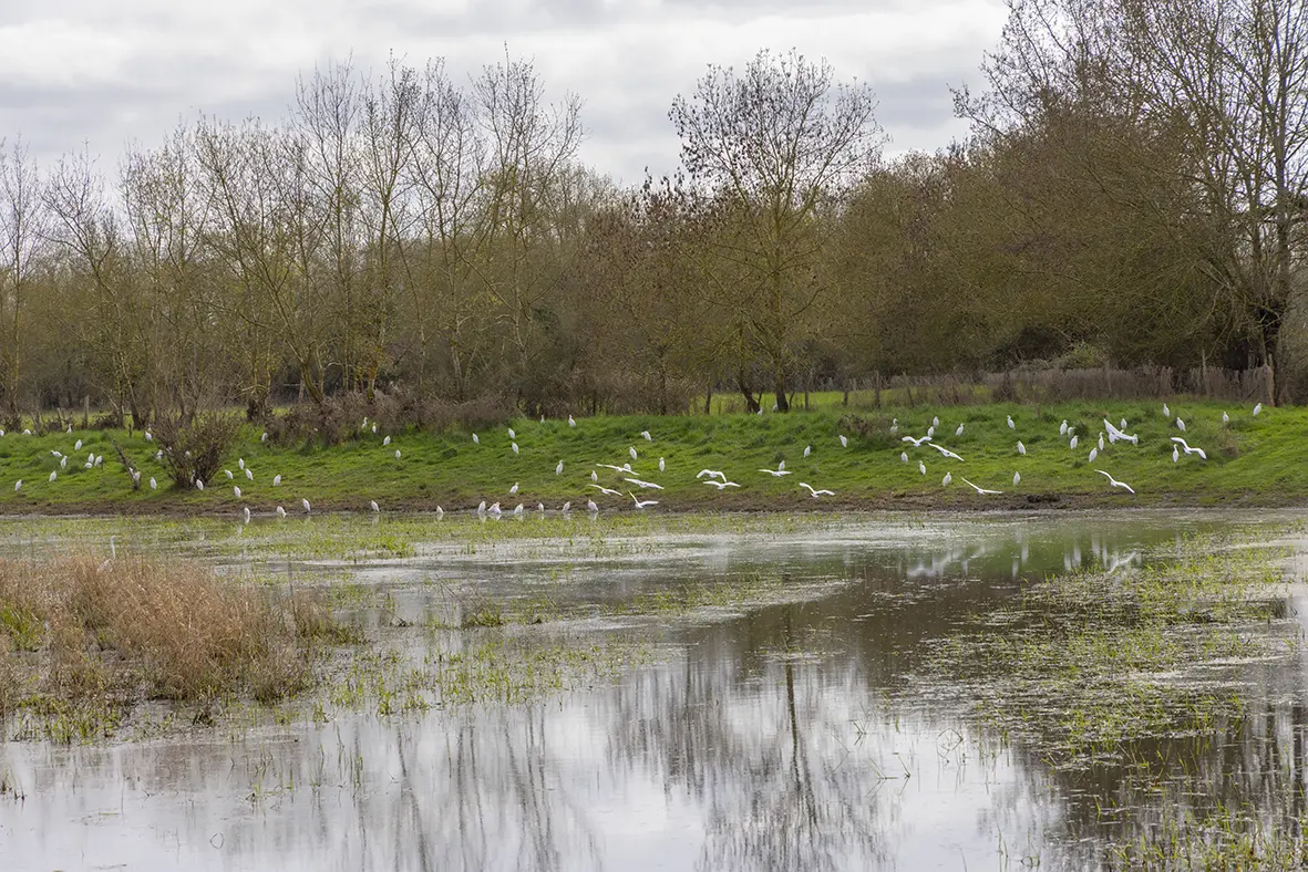 CC-CVL_Tourisme_Sites-naturels_Cunette2©CC-CVL-02-24-FabB-3S8A8290