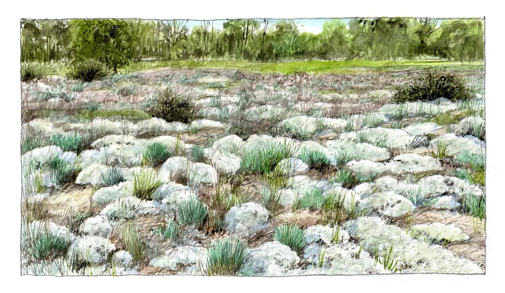 CC-CVL_Tourisme_Sites-naturels_Bertignolles_Paysage-Pelouse©BenoitPerrotin