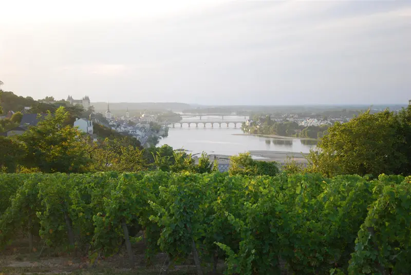 Loire Secrets