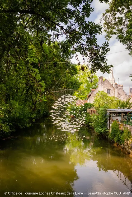 Prairies du Roy_peche_beaulieu_loches-valdeloire