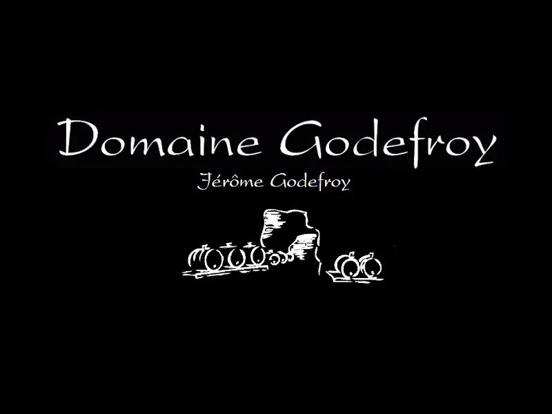 Domaine Jérôme Godefroy - Chouzé-sur-Loire