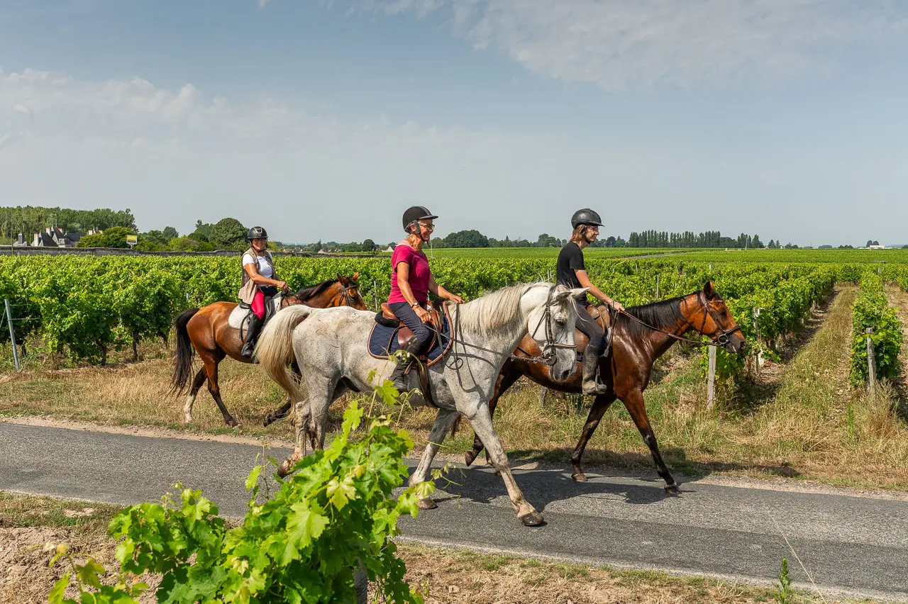 boucle équestre entre vignes et forêts