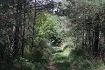 img_1871-0ziby3hxt8qd.JPG.150x150_q85