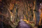 nature-3204336_1280-tzpt32hj50t8.jpg.150x150_q85