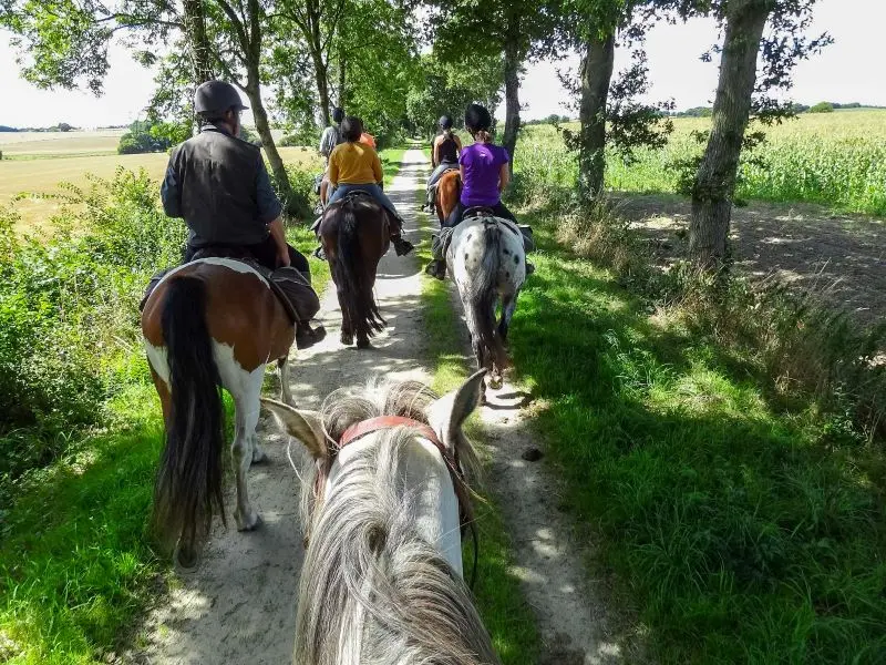 randonnee-chevaux-loches-valdeloire