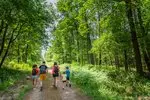 rando-foret-chinon-credit-adt-touraine-jc-coutand-d4z9k990fjqb.jpg.150x150_q85