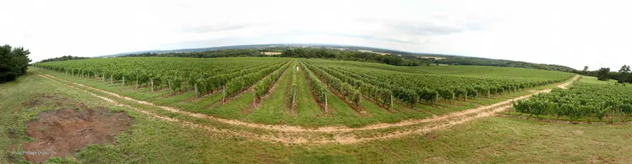 DOMAINE DE LA PÂTURIE_1