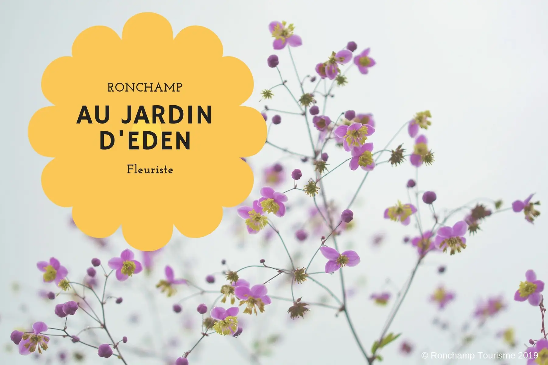 AU JARDIN D'EDEN_1