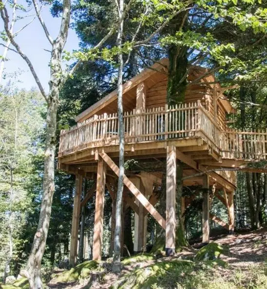 LA CABANE DU LYNX_1