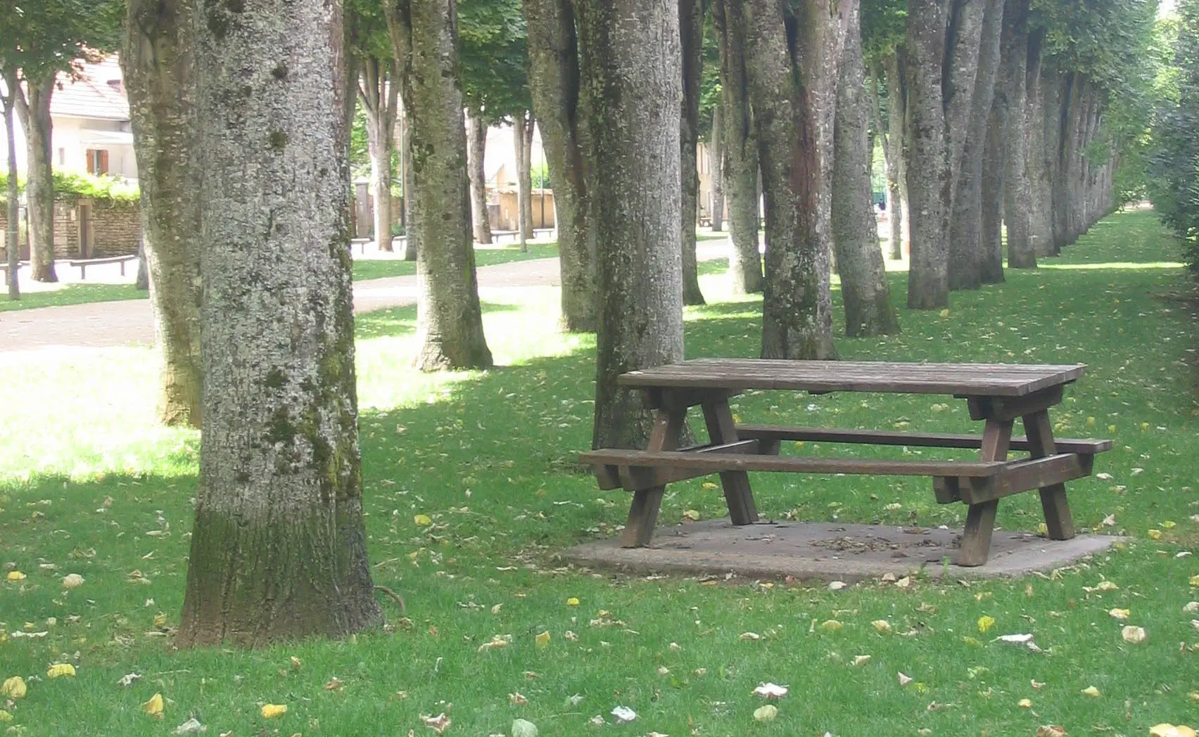 Aire de pique-nique