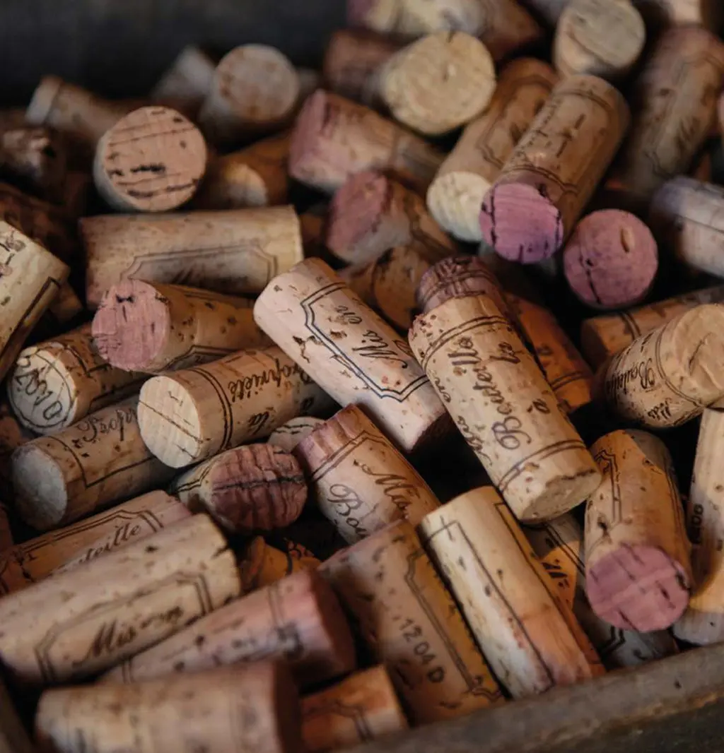 Au-paradis-du-pinot-noir-2