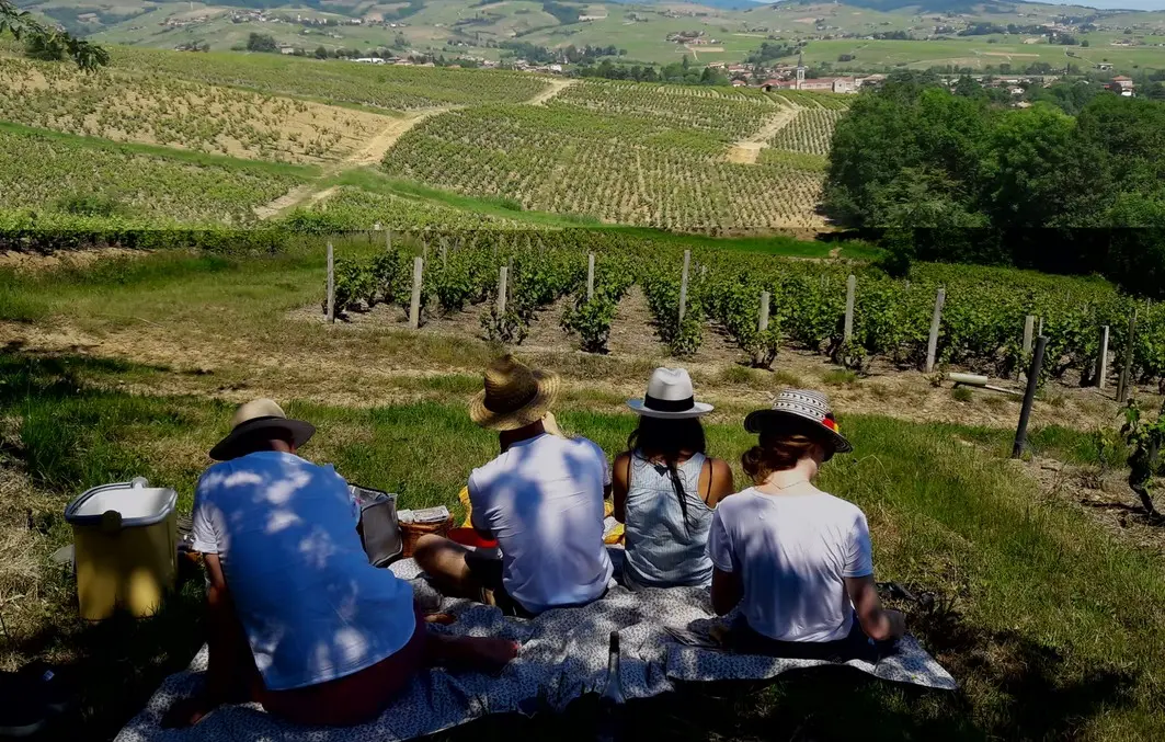Wine Liaisons