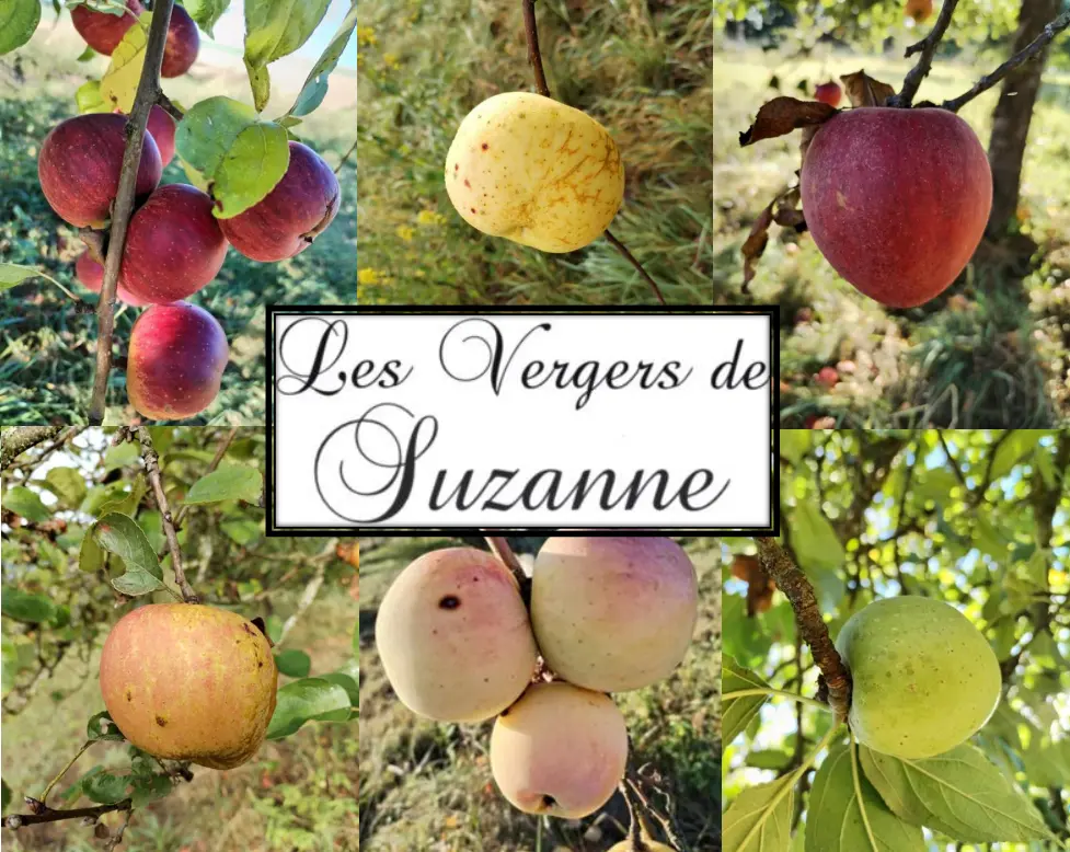 Les vergers de Suzanne