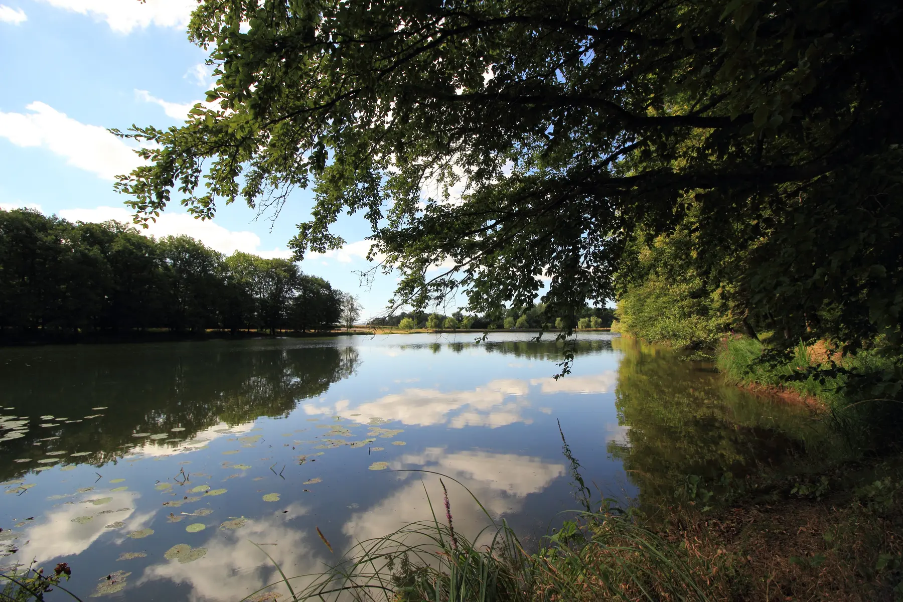 Lac des 7 chevaux