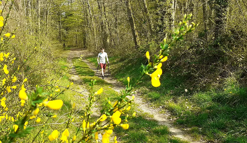 Marche nordique < Laon < Aisne < Picardie