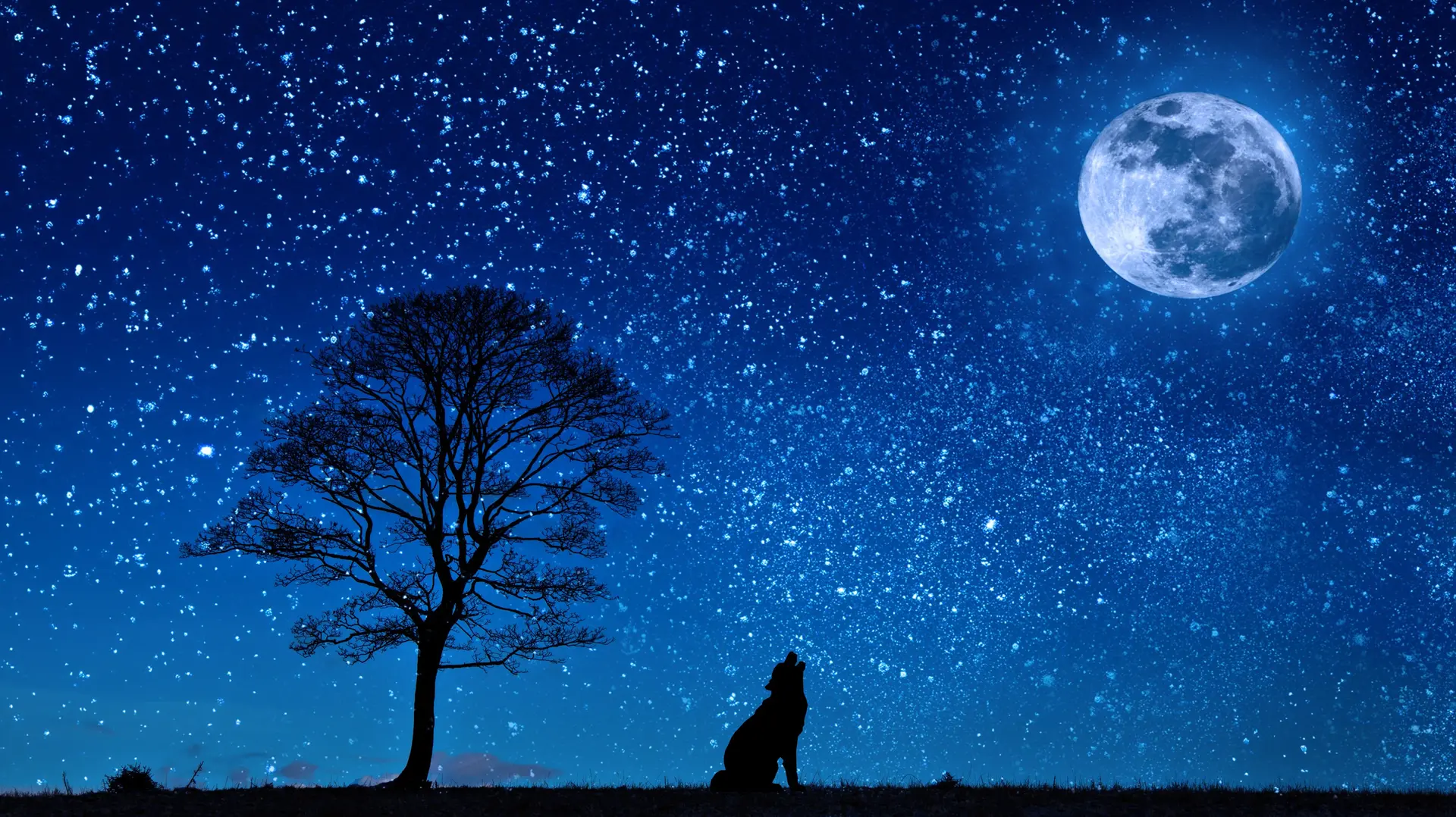 Nuit des étoiles