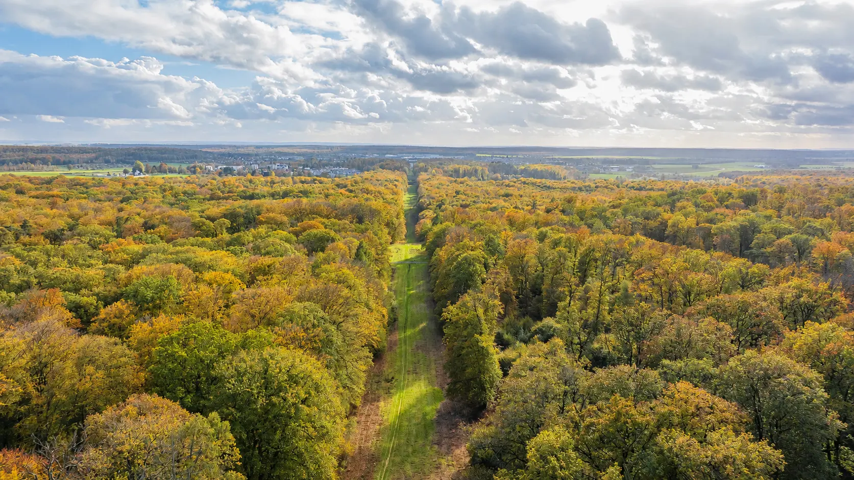 Allee royale foret de Retz © Prémont - OTSV (3)